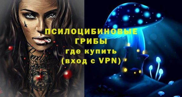 винт Баксан